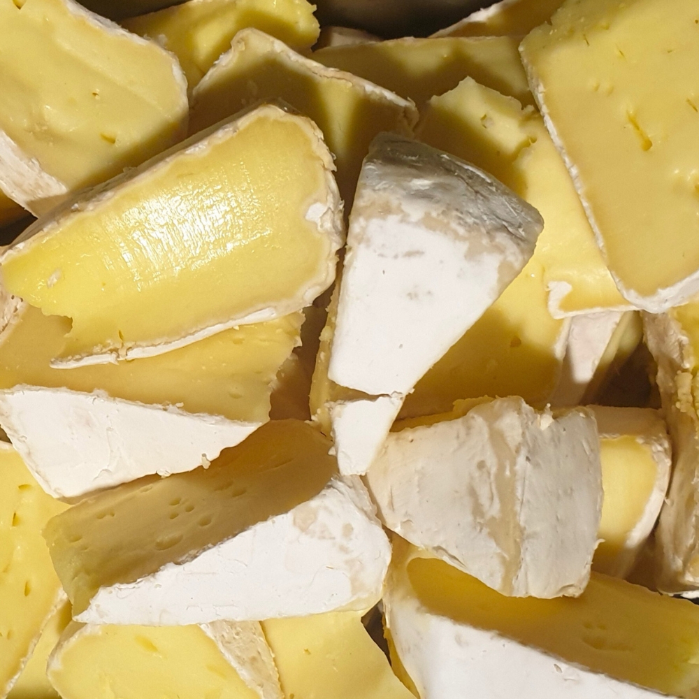 sq gallery - cheese